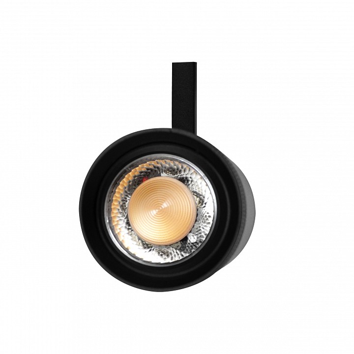 Светильник на штанге lightstar canno pro 304207