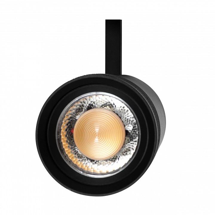 Светильник на штанге lightstar canno pro 304307