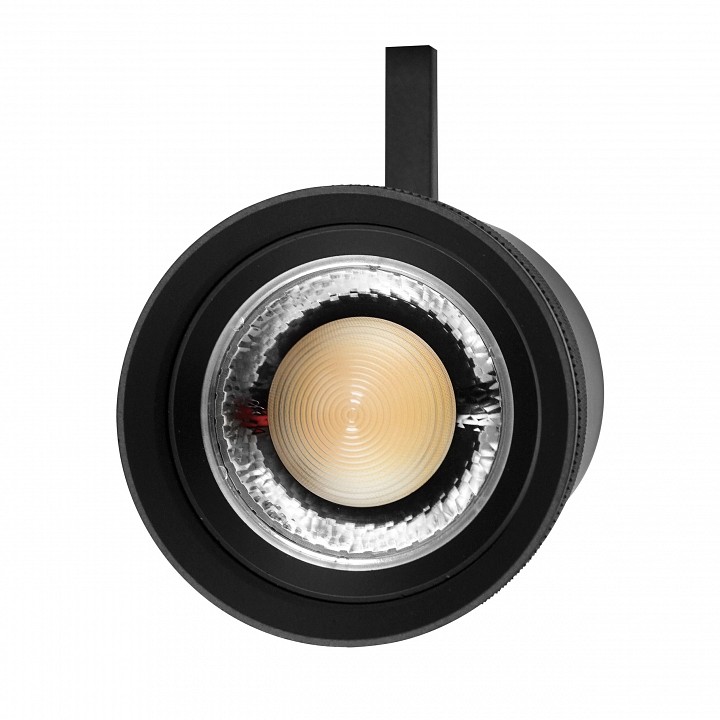 Светильник на штанге lightstar canno pro 304407