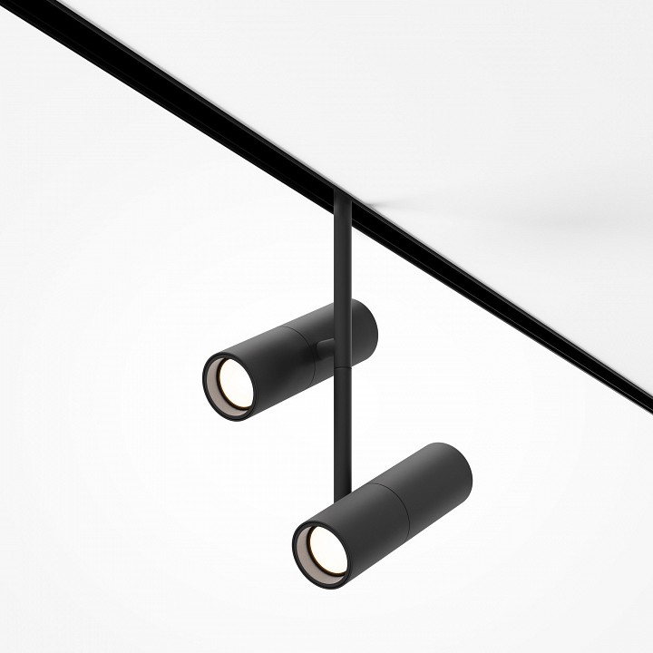 Светильник на штанге maytoni technical elti duo tr005-4-2x12w-ds-b
