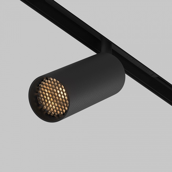 Светильник на штанге maytoni technical artisan tr097-2-12w2.7k-m-bb