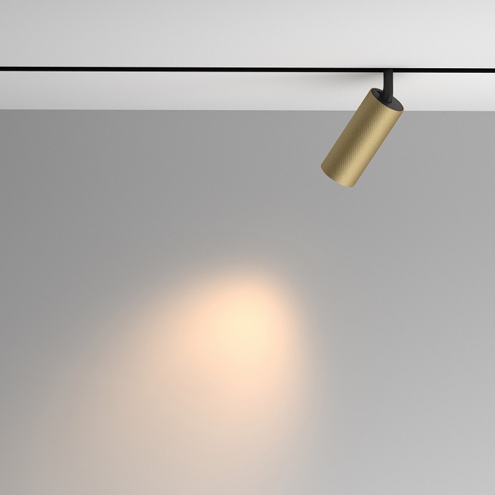 Светильник на штанге maytoni technical artisan tr097-2-12w3k-m-bmg