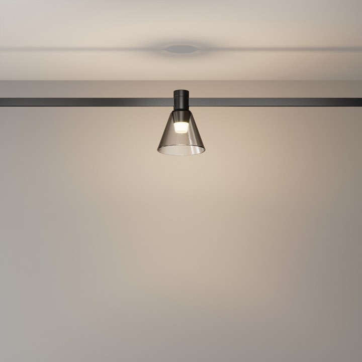 Накладной светильник maytoni technical bianca tr147-1-3w3k-b