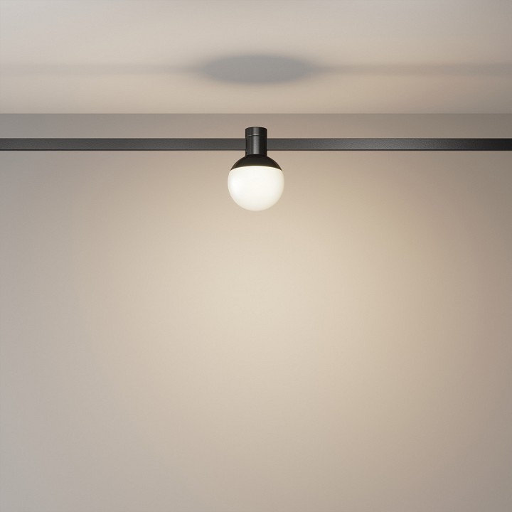 Накладной светильник maytoni technical luna tr149-1-5w3k-b