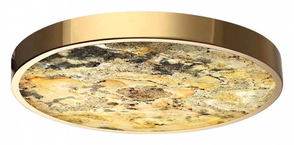 Накладной светильник odeon light bergi 5079/40l