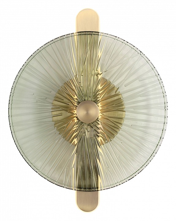 Накладной светильник st-luce wasi sl6141.321.01