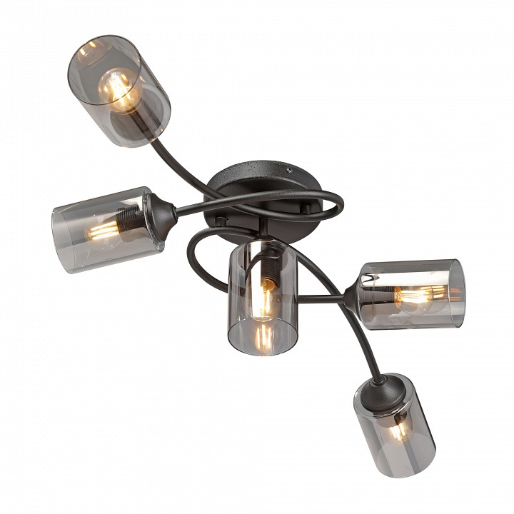 Потолочная люстра vitaluce v2048 v2048-1/5pl