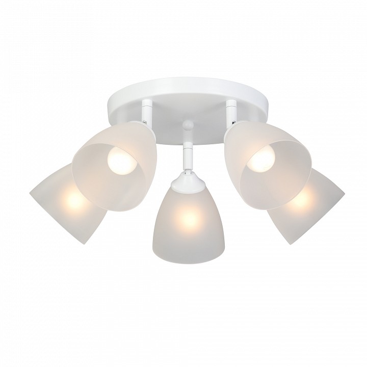 Потолочная люстра vitaluce v4355 v4355-0/5pl