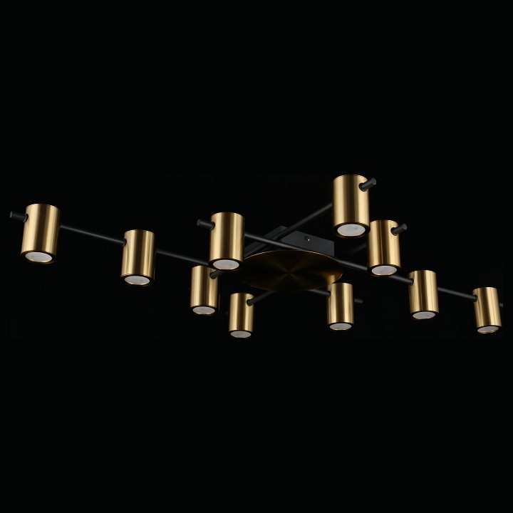 Потолочная люстра aployt elwisia apl.633.07.10