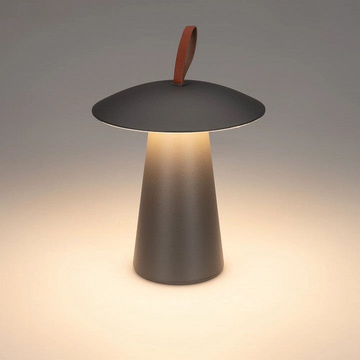 Настольная лампа декоративная arlight sp-patio 031628