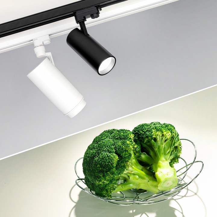 Светильник на штанге arlight zeus food 032449