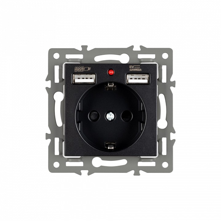 Розетка с заземлением и 2хusb type a, Без рамки arlight sct 043734