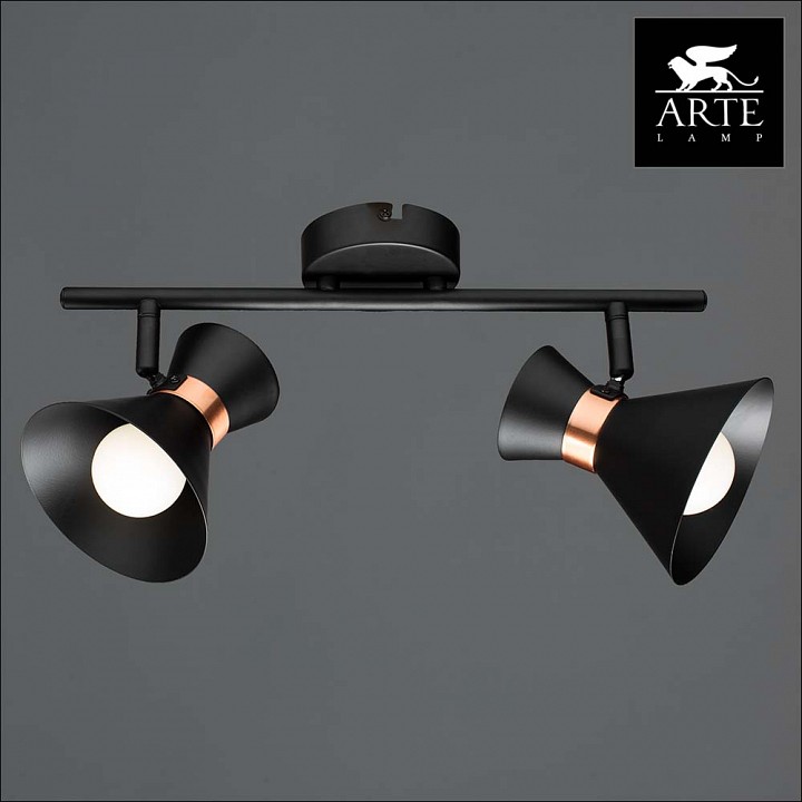 Спот arte lamp baltimore a1406ap-2bk