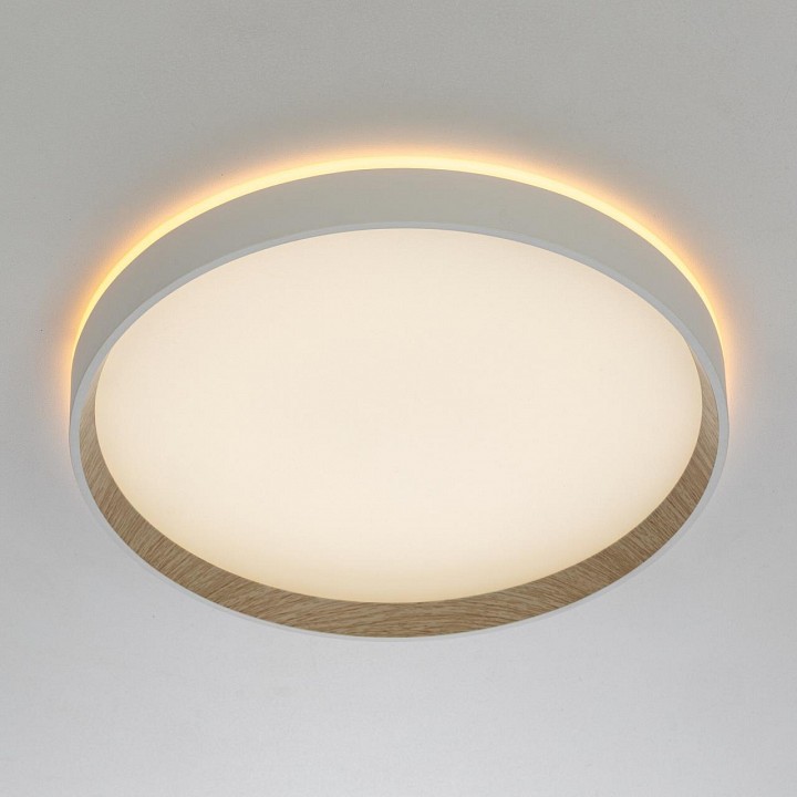 Накладной светильник citilux etalon cl750320r