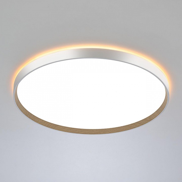 Накладной светильник citilux etalon cl750500r