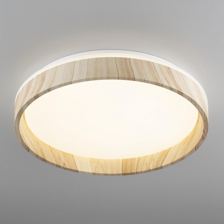 Накладной светильник citilux enzo cl753352g