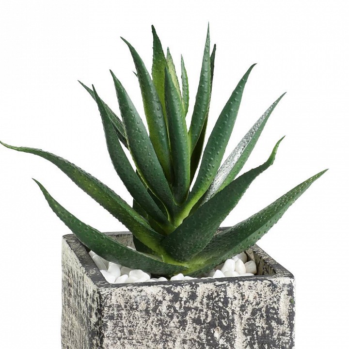 Растение в горшке eglo chitose 428008