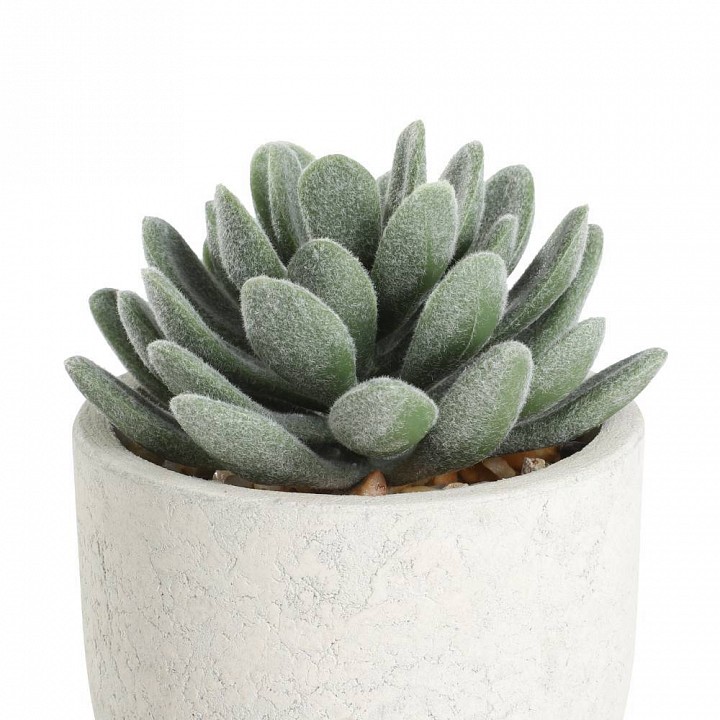 Растение в горшке eglo chitose 428011