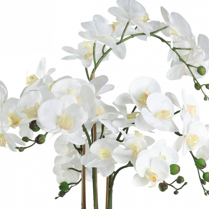 Растение в горшке eglo hyuga 428024