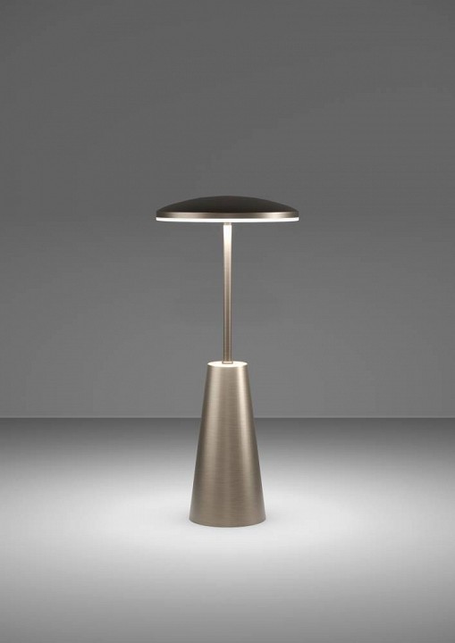 Настольная лампа декоративная eglo piccola 900924