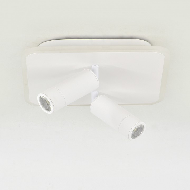 Накладной светильник escada  20024sma/01led wh