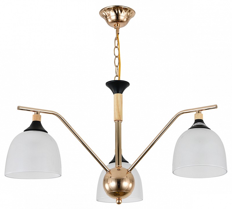 Подвесная люстра escada actinidia 2123/3p