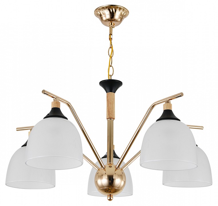 Подвесная люстра escada actinidia 2123/5p