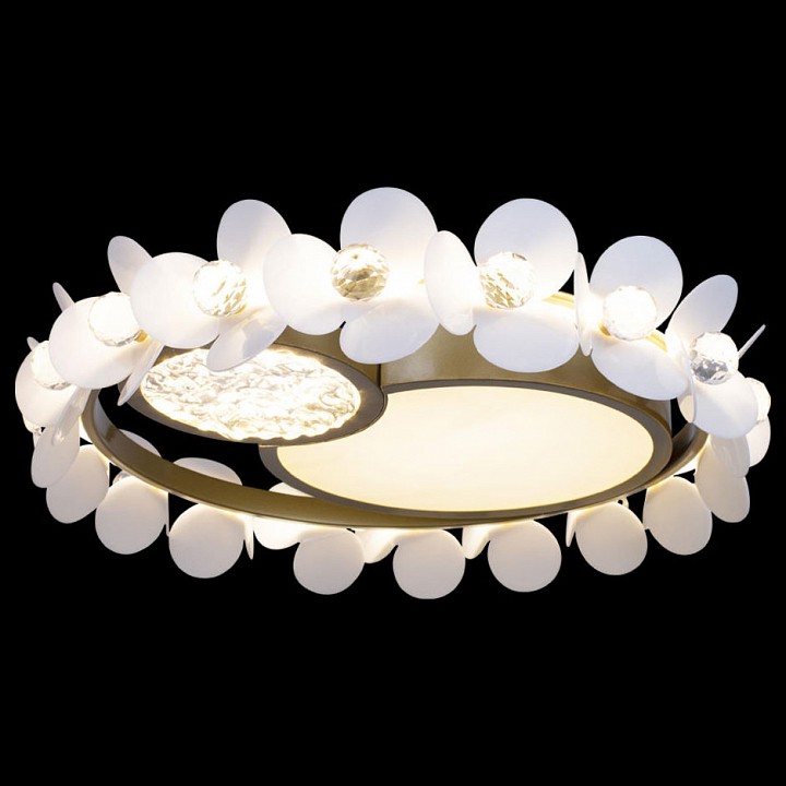 Накладной светильник loft it bride 10173