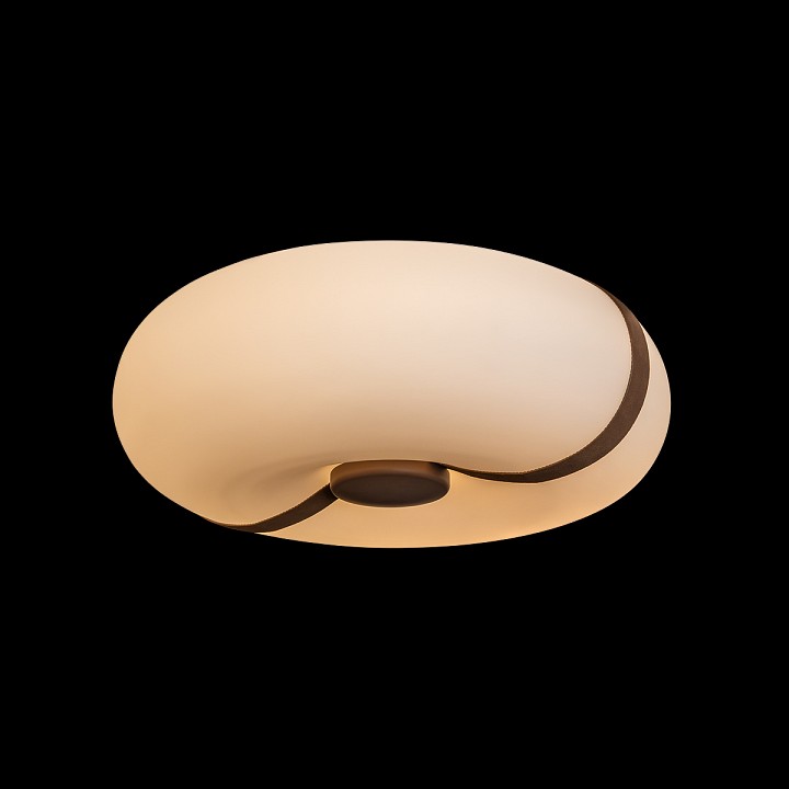 Накладной светильник loft it bolina 10473