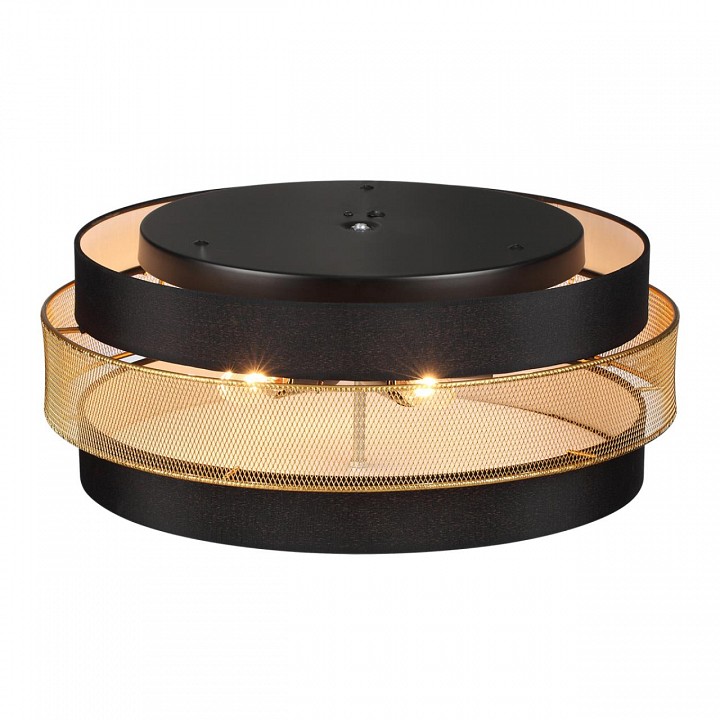 Накладной светильник lumion animaisa 8003/6c