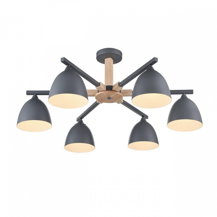 Люстра на штанге lumion colange 8096/6c