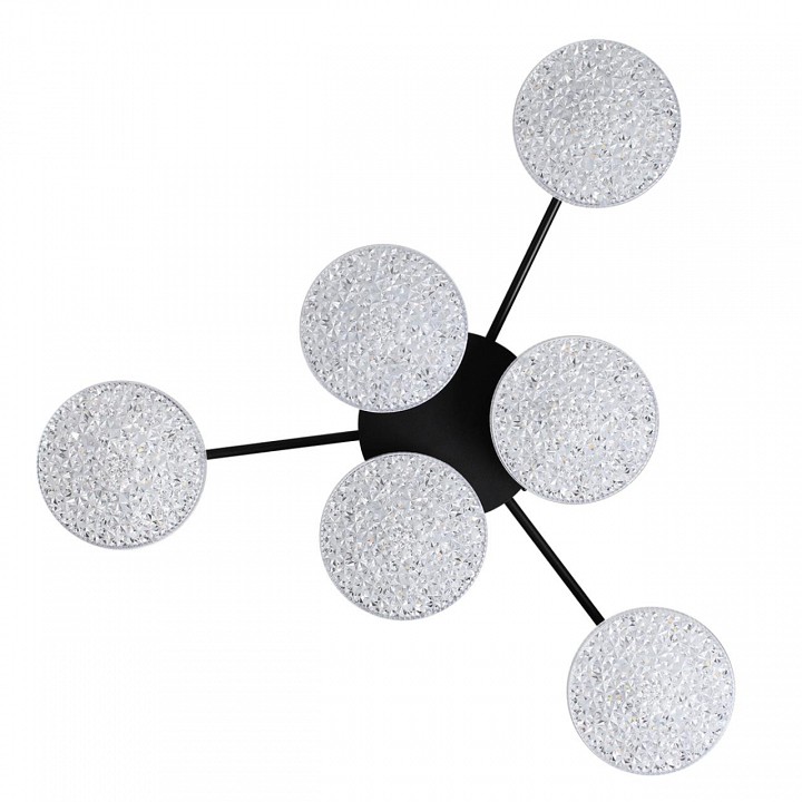 Потолочная люстра lumion didana 8236/6cl