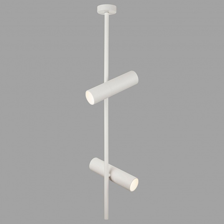 Светильник на штанге maytoni technical elti c021cl-02w