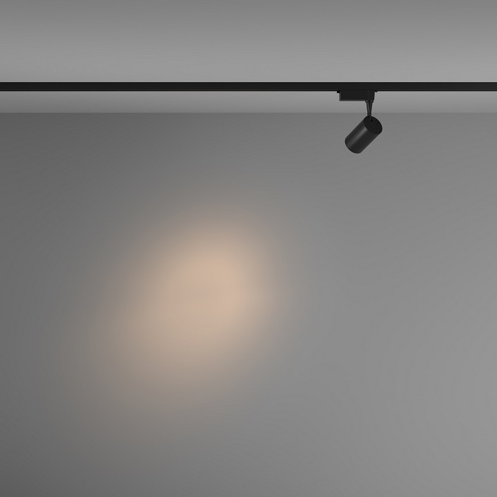 Светильник на штанге maytoni technical vuoro tr003-1-6w3k-s-b