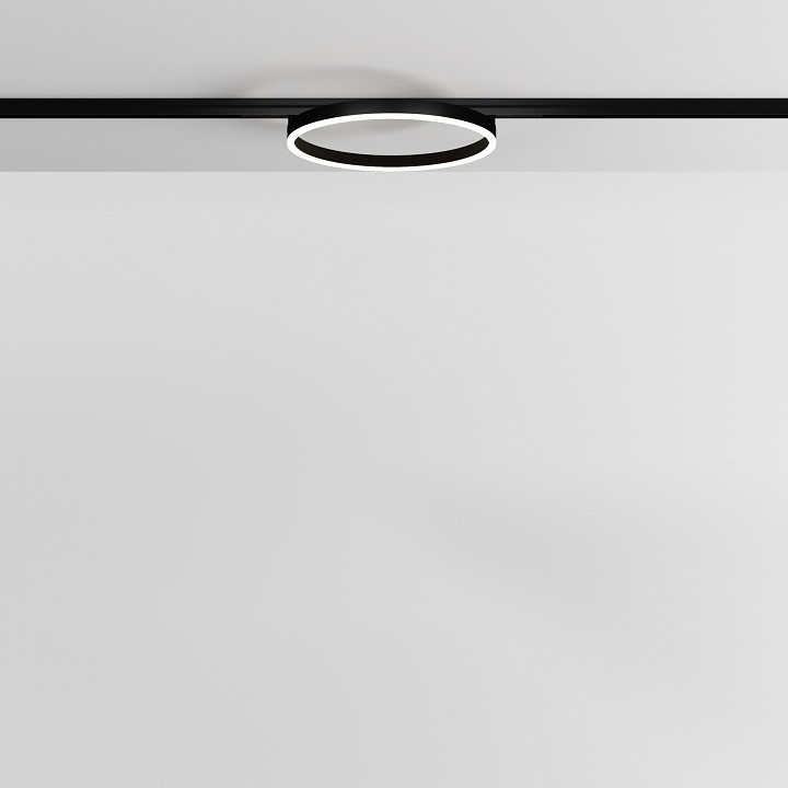 Накладной светильник maytoni technical rim tr227-2-24w3k-b