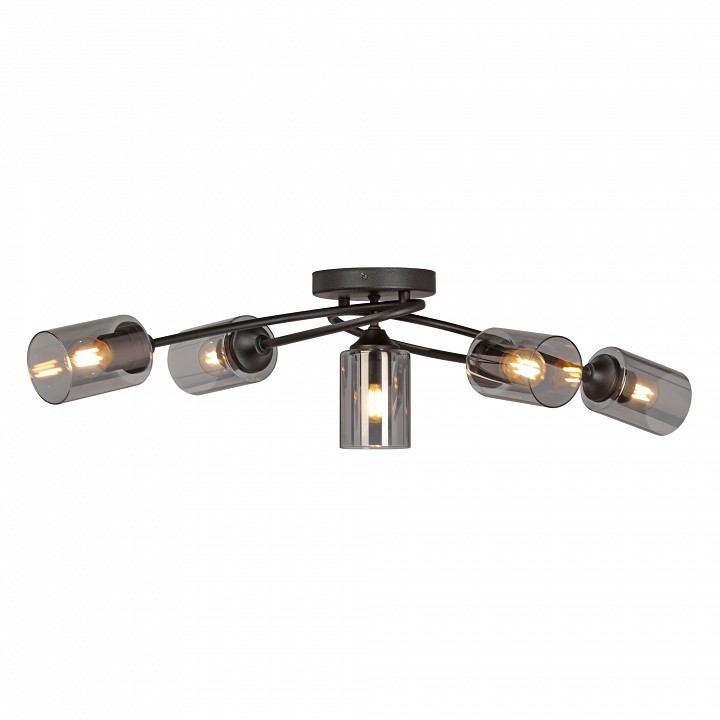 Потолочная люстра vitaluce v2048 v2048-1/5pl