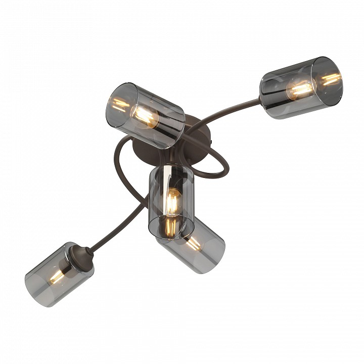 Потолочная люстра vitaluce v2048 v2048-7/5pl