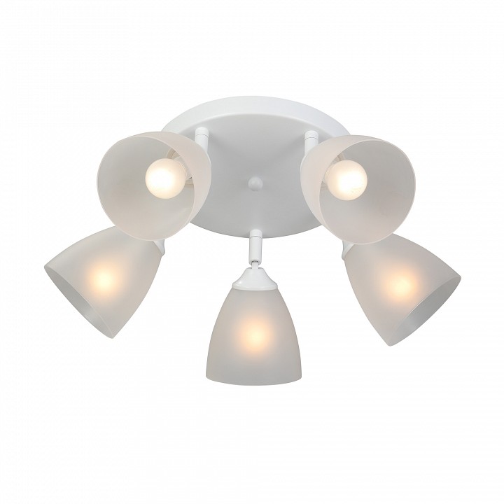 Потолочная люстра vitaluce v4355 v4355-0/5pl