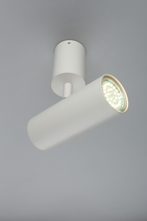 Спот aployt berenis apl.007.02.01