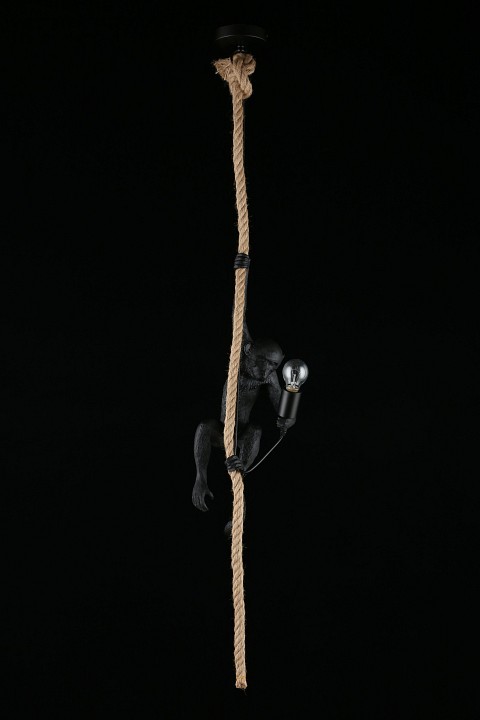 Подвесной светильник aployt magali apl.309.16.01