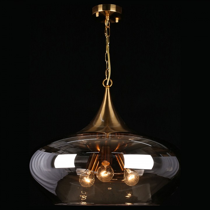 Подвесной светильник aployt franko apl.601.16.03