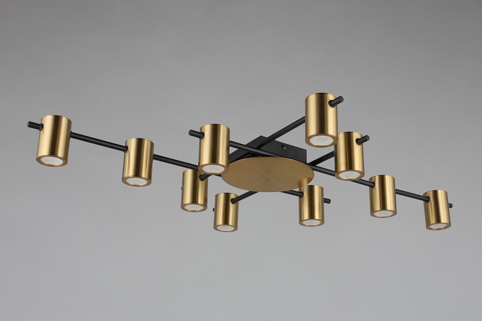 Потолочная люстра aployt elwisia apl.633.07.10