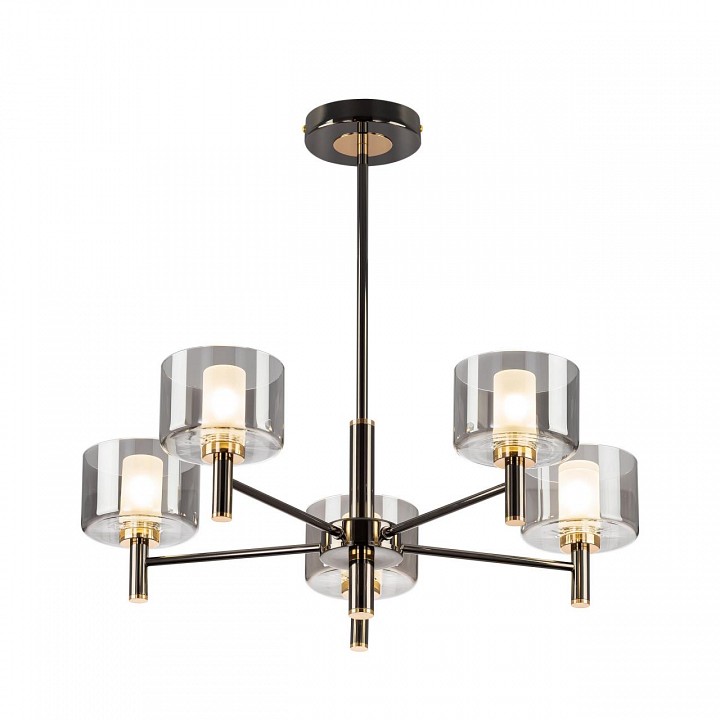 Люстра на штанге citilux elan cl241151