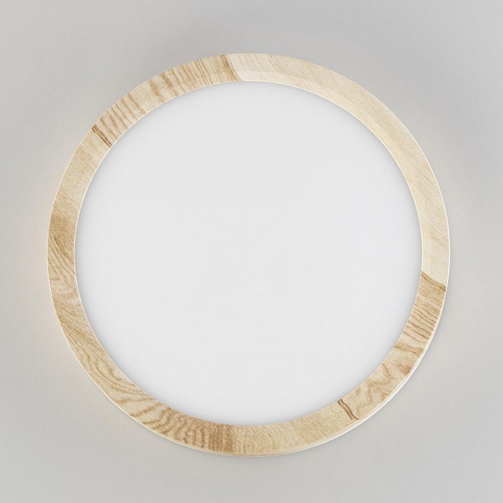 Накладной светильник citilux бейсик cl738122n