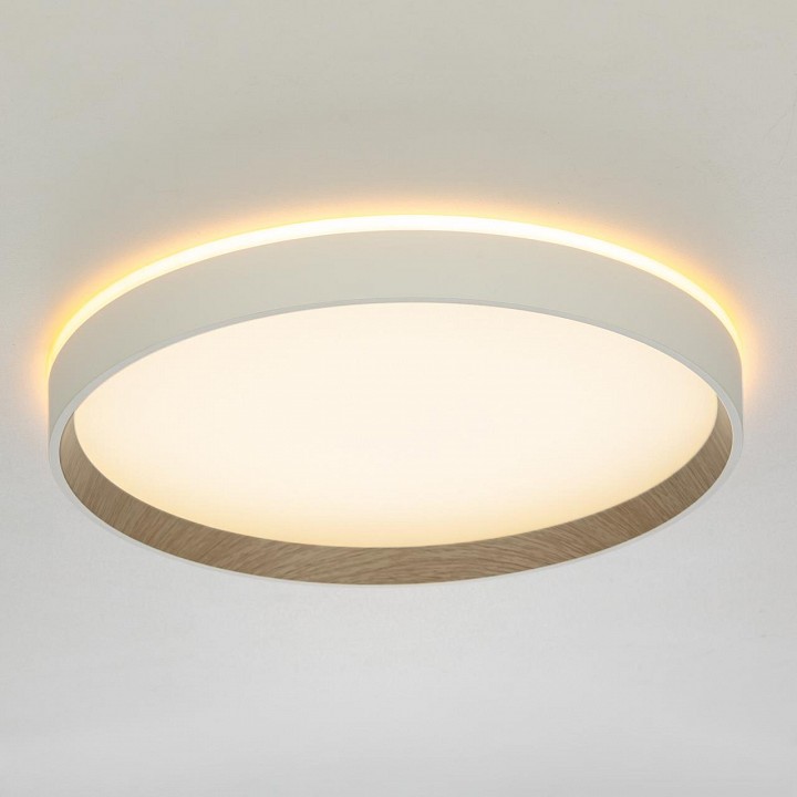 Накладной светильник citilux etalon cl750320r