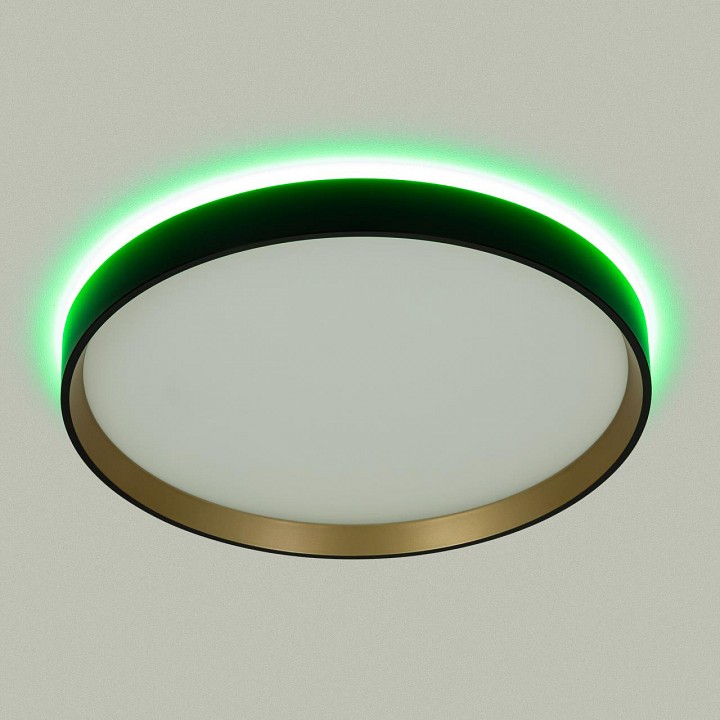 Накладной светильник citilux etalon cl750321r