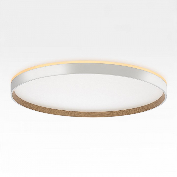 Накладной светильник citilux etalon cl750500r