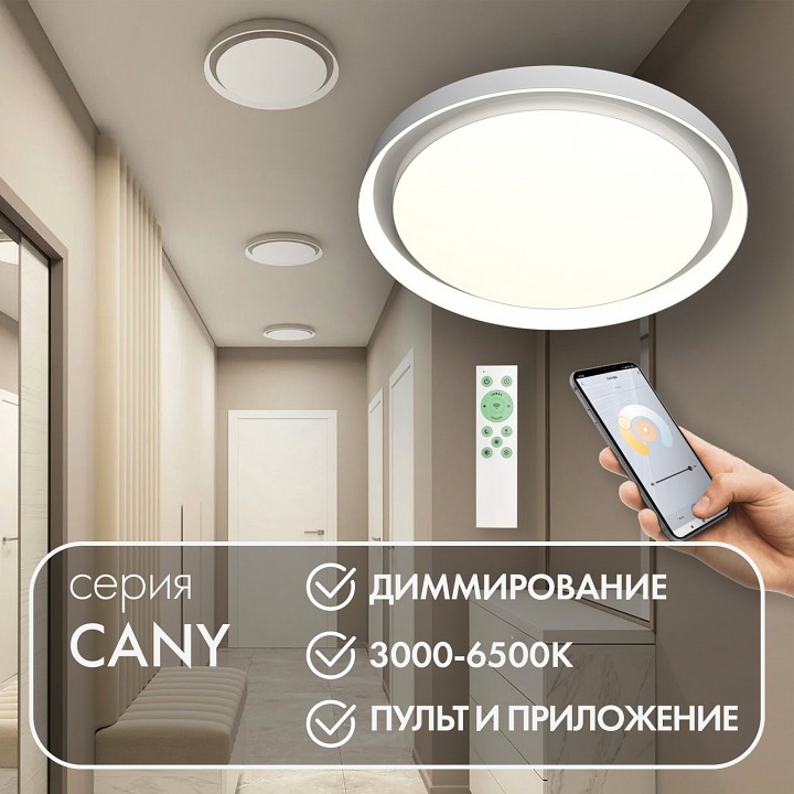 Накладной светильник denkirs cany dk6516-wh
