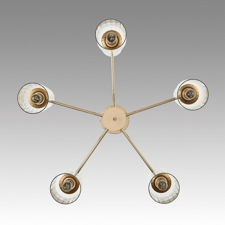 Люстра на штанге lumion kassia 6586/10