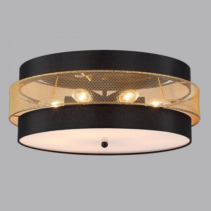 Накладной светильник lumion animaisa 8003/6c